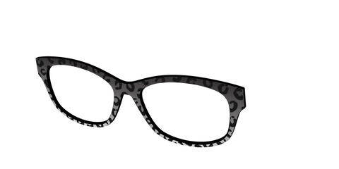 The Black Cheetah