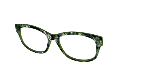 The Olive Pearl Tortoise