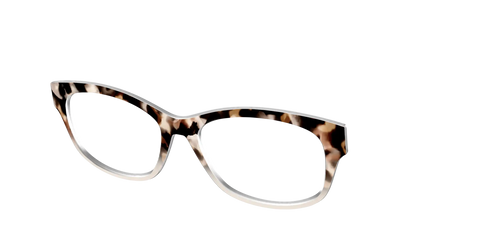 The Vanilla Latte Tortoise