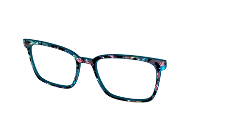 The Black Prismatic Pearl Tortoise