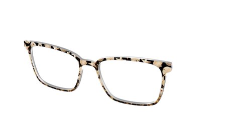 The Ocean Treasures Tortoise