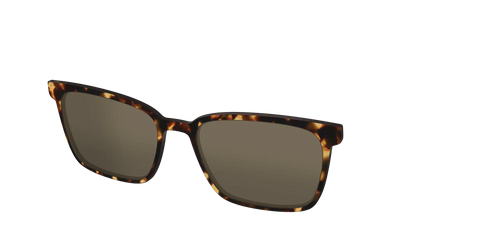 The Polarized Tortoise Sun Top