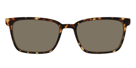 The Polarized Tortoise Sun Top