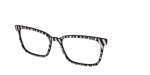 The Zebra Stripes