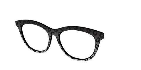 The Black Cheetah