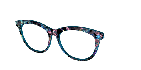 The Black Prismatic Pearl Tortoise