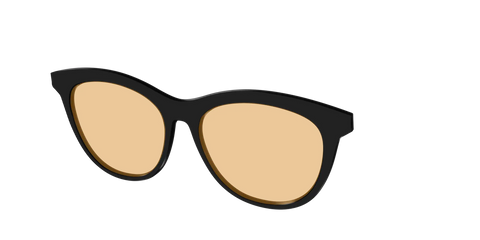 The Black With Umber Brown Lens