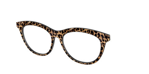 The Cheetah Spots