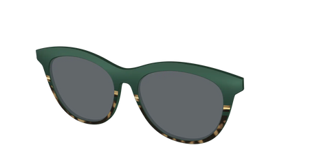 The Polarized Spruce Tortoise Sun Top