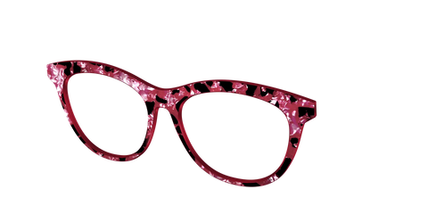 The Raspberry Pearl Tortoise