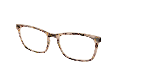 The Almond Tortoise with Gold Streaks