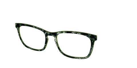 The Olive Pearl Tortoise
