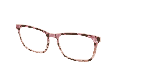 The Pale Peach Pearl Tortoise