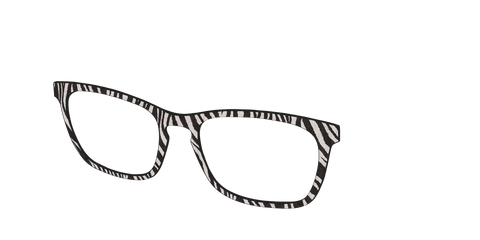 The Zebra Stripes