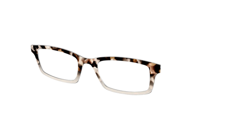 The Vanilla Latte Tortoise