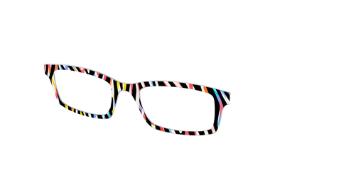 The Vivid Zebra Stripes