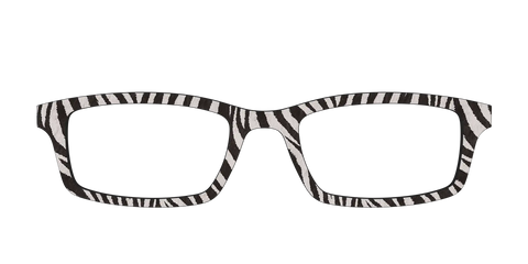 The Zebra Stripes