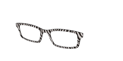 The Zebra Stripes