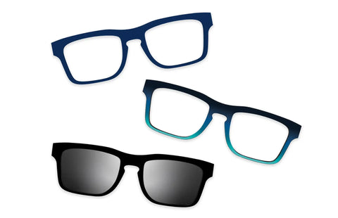 Blue Tortoise - Set