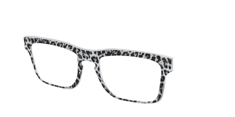 The Snow Leopard Spots