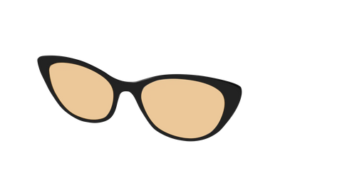 The Black With Umber Brown Lens