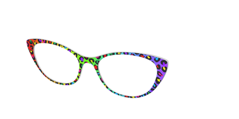 The Rainbow Cheetah