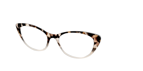 The Vanilla Latte Tortoise