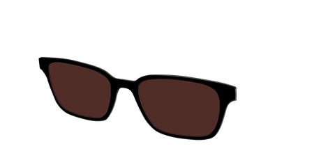 The Black with Brown Golf Lens