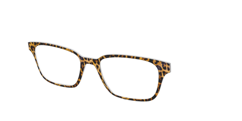 The Cheetah Spots