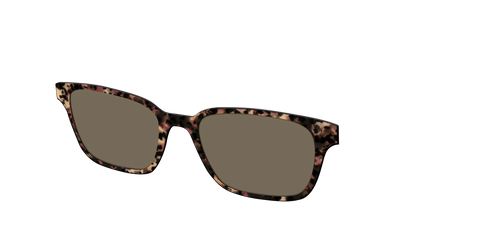 The Polarized Sienna Tortoise Sun Top