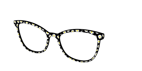 The Black Daisy