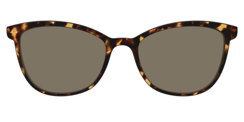 The Non-Polarized Tortoise Sun Top