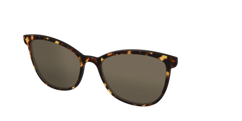 The Polarized Tortoise Sun Top