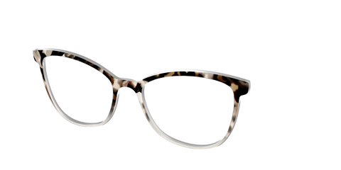 The Vanilla Latte Tortoise
