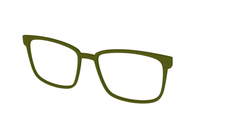 The Army Green