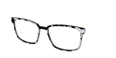 The Black & White Pearl Tortoise