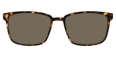 The Polarized Tortoise Sun Top