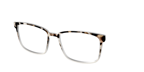 The Vanilla Latte Tortoise