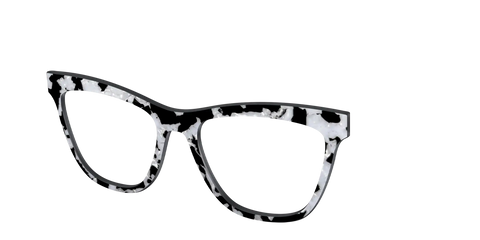 The Black & White Pearl Tortoise