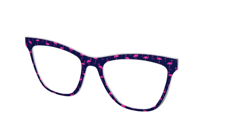 The Navy Flamingos