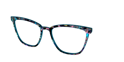 The Black Prismatic Pearl Tortoise