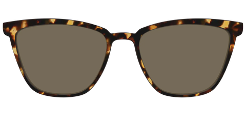 The Polarized Tortoise Sun Top
