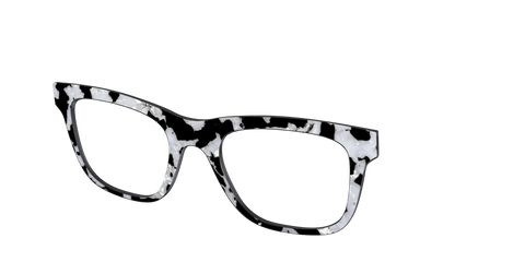 The Black & White Pearl Tortoise