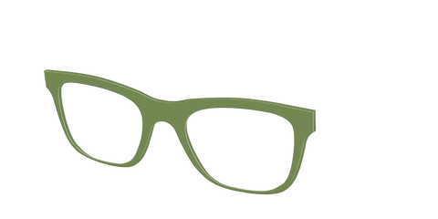 The Olive Green