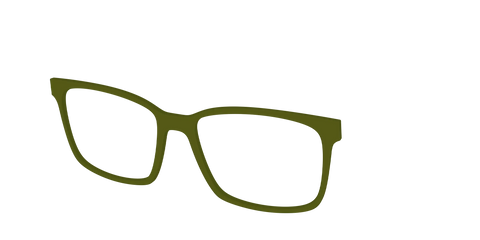 The Army Green