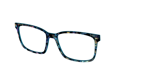 The Black Prismatic Pearl Tortoise