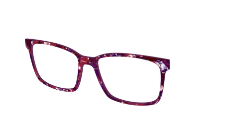 The Mulberry Pearl Tortoise