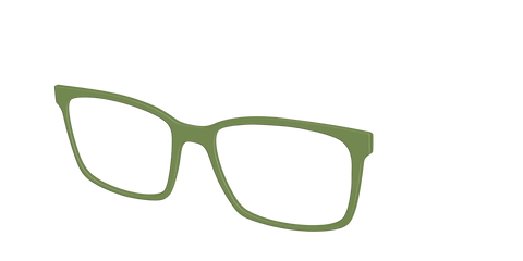 The Olive Green