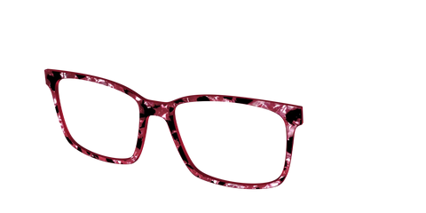 The Raspberry Pearl Tortoise