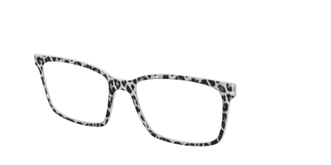The Snow Leopard Spots